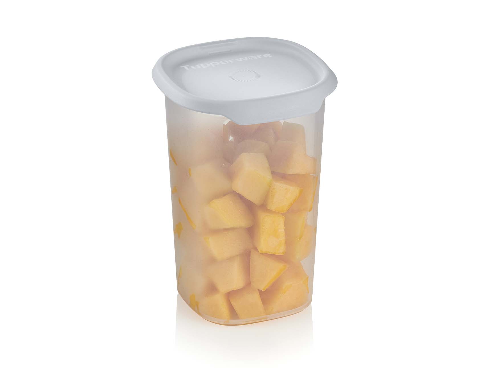 garde-fraicheur_0000_tupperware-ww-st-2302-2195