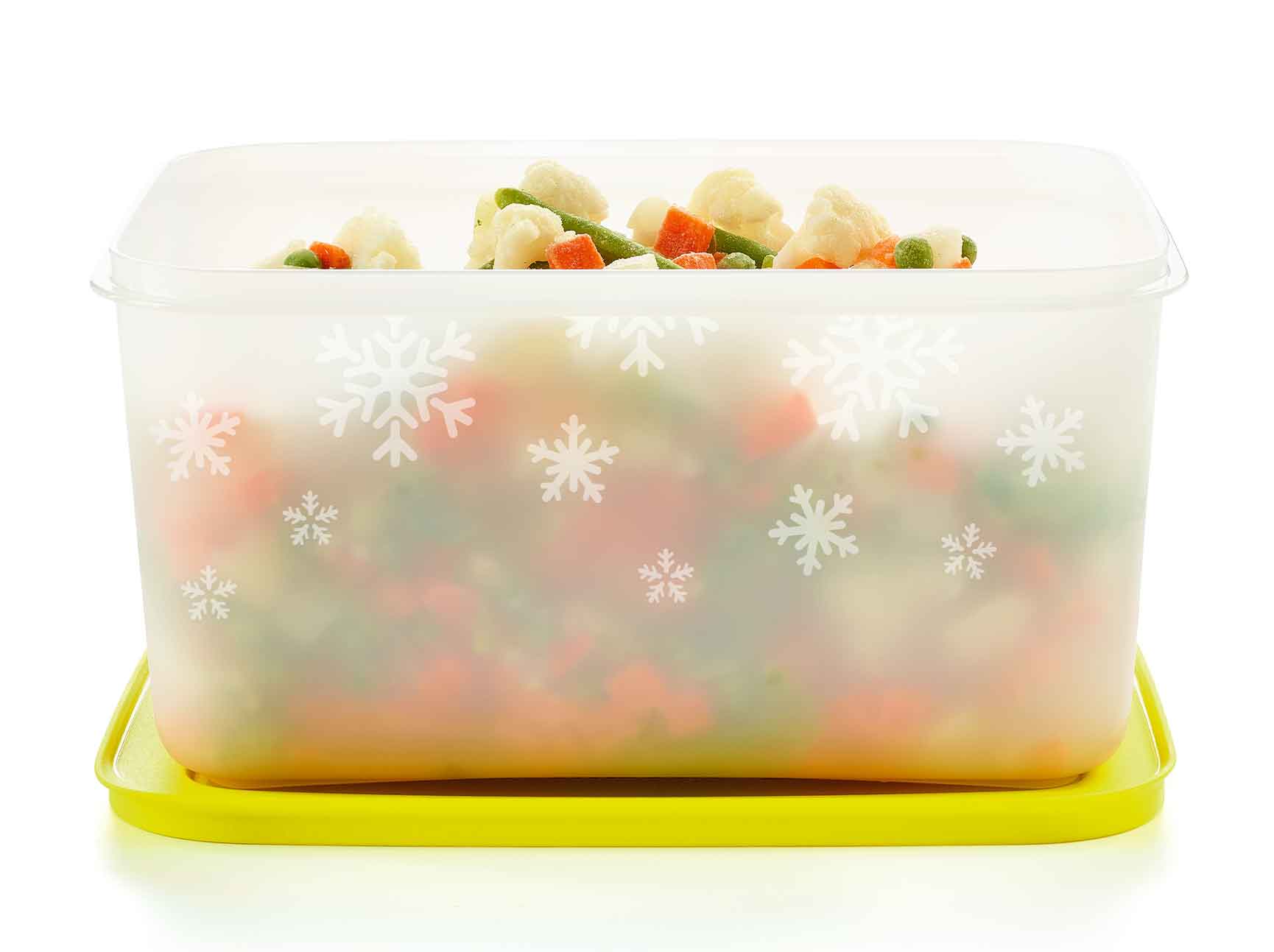 boite-congelation-2-5l1